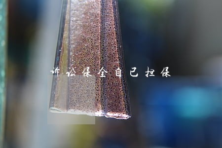 诉讼保全自已担保 诉讼保全自已担保