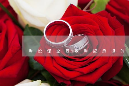 诉讼保全若败诉应承担的责任