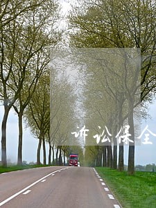诉讼保全被申请人 诉讼保全被申请人