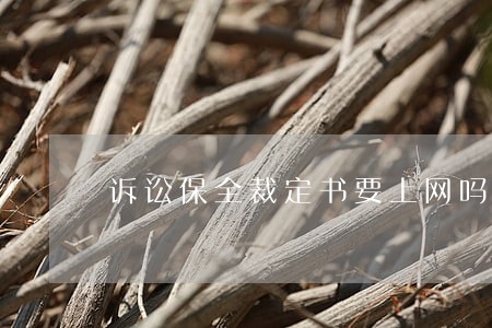 诉讼保全裁定书要上网吗 诉讼保全裁定书要上网吗