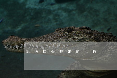 诉讼保全裁定的执行 诉讼保全裁定的执行