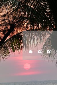 诉讼保全要提供多少担保