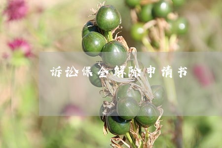 诉讼保全解除申请书 诉讼保全解除申请书
