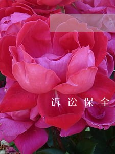 诉讼保全责任保险宋喆