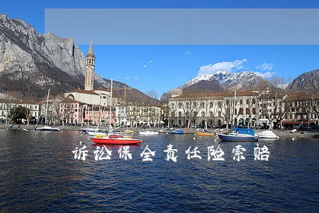 诉讼保全责任险索赔