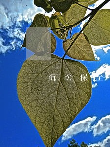 诉讼保全费收费计算器 诉讼保全费收费计算器
