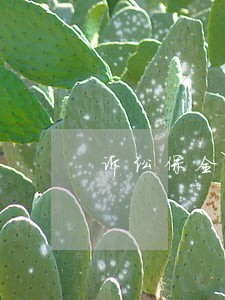 诉讼保全赔偿案件管辖地 诉讼保全赔偿案件管辖地
