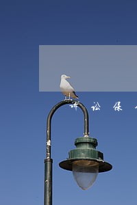 诉讼保全超标的查封异议答辩 诉讼保全超标的查封异议答辩