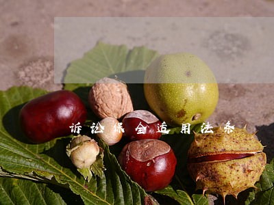 诉讼保全适用法条