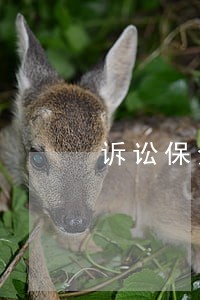 诉讼保全金额的规则是什么 诉讼保全金额的规则是什么