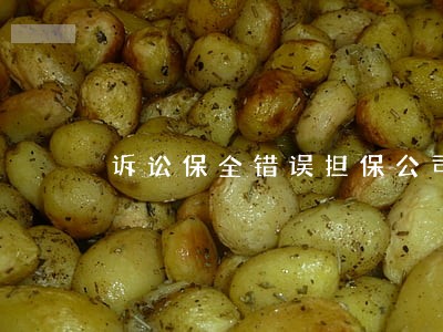 诉讼保全错误担保公司怎么赔偿