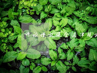诉讼债权保全法律规定 诉讼债权保全法律规定