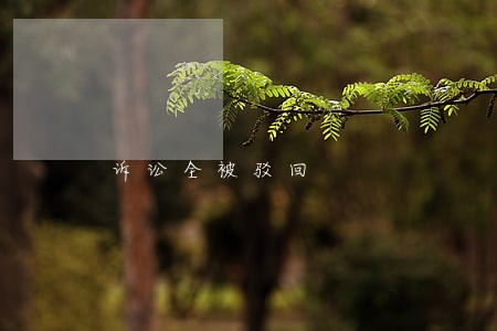 诉讼全被驳回 诉讼全被驳回