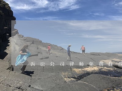 诉讼公司律师免费在线咨询 诉讼公司律师免费在线咨询