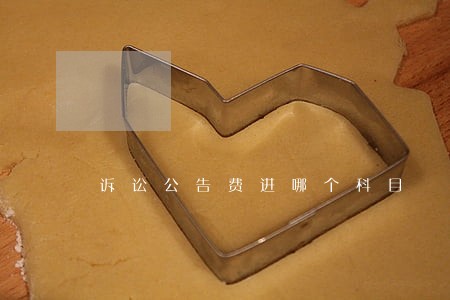 诉讼公告费进哪个科目 诉讼公告费进哪个科目