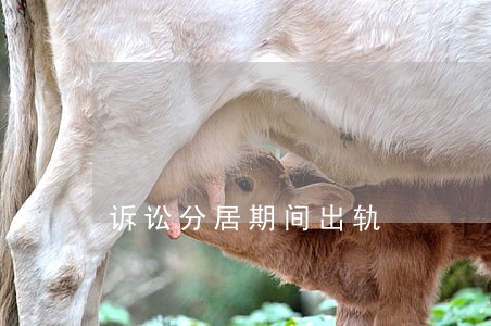 诉讼分居期间出轨 诉讼分居期间出轨