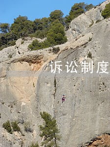 诉讼制度的法理基础 诉讼制度的法理基础