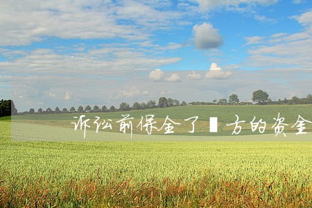 诉讼前保全了対方的资金 诉讼前保全了対方的资金