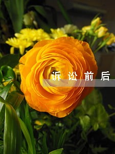 诉讼前后转移资产的撤销 诉讼前后转移资产的撤销