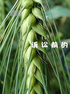 诉讼前的财产保全律师收费 诉讼前的财产保全律师收费