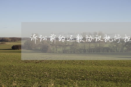 诉讼前的还款协议执行担保 诉讼前的还款协议执行担保