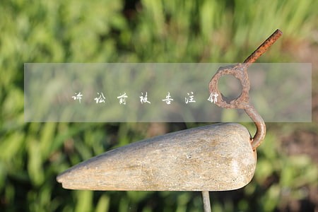 诉讼前被告注销 诉讼前被告注销