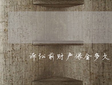诉讼前财产保全多久能执结 诉讼前财产保全多久能执结