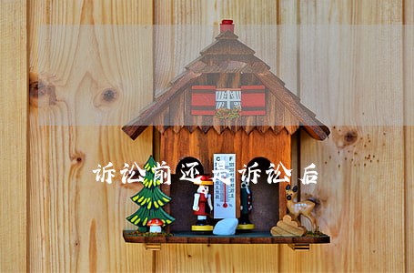 诉讼前还是诉讼后