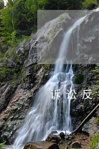 诉讼反担保承诺书范文 诉讼反担保承诺书范文