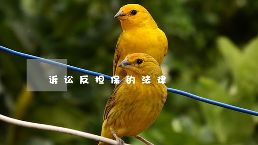 诉讼反担保的法律 诉讼反担保的法律