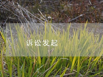 诉讼发起 诉讼发起