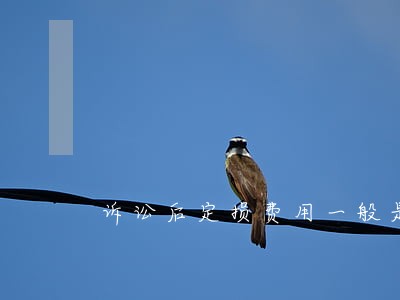 诉讼后定损费用一般是谁出 诉讼后定损费用一般是谁出
