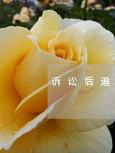 诉讼后追回的房租账务处理 诉讼后追回的房租账务处理