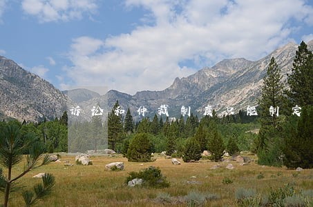 诉讼和仲裁制度只能制定为法律