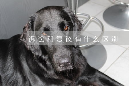 诉讼和复议有什么区别 诉讼和复议有什么区别