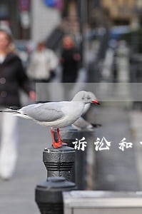 诉讼和调节机制对接 诉讼和调节机制对接