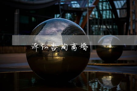 诉讼咨询离婚