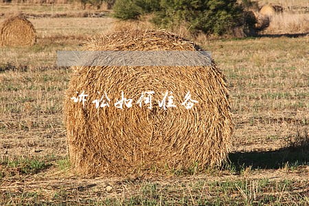 诉讼如何准备 诉讼如何准备