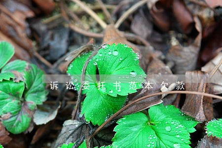 诉讼委托书范本欠款 诉讼委托书范本欠款