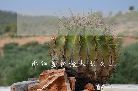 诉讼委托授权书员工 诉讼委托授权书员工