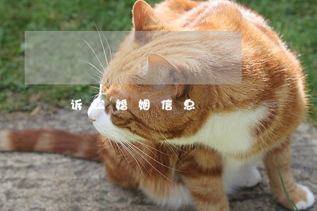 诉讼婚姻信息 诉讼婚姻信息