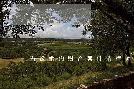 诉讼婚约财产案件请律师多少钱 诉讼婚约财产案件请律师多少钱
