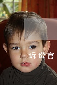 诉讼官司专业团队 诉讼官司专业团队