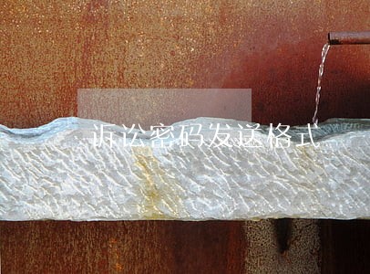 诉讼密码发送格式 诉讼密码发送格式