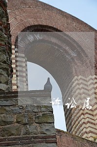 诉讼属于什么形式