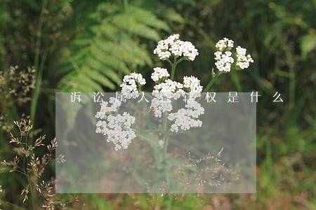 诉讼属人管辖权是什么 诉讼属人管辖权是什么