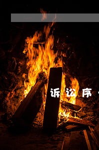 诉讼序一审不判离
