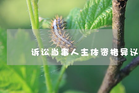 诉讼当事人主体资格异议 诉讼当事人主体资格异议