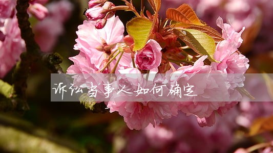 诉讼当事人如何确定 诉讼当事人如何确定