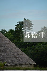 诉讼律师专业咨询 诉讼律师专业咨询